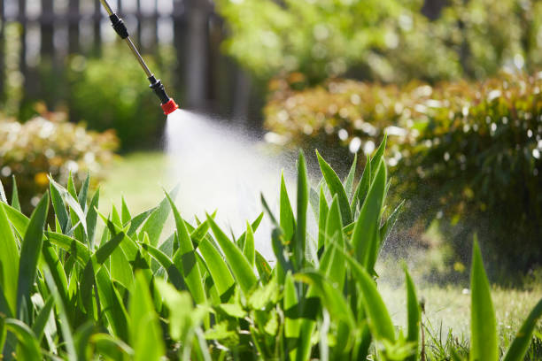 24/7 Emergency Ant Control experts in Gamerco, NM