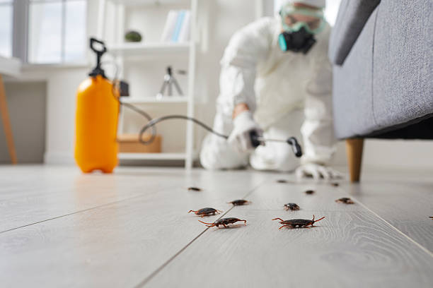 Trusted Fumigation Services service in Gamerco, NM - Nex Pest Control